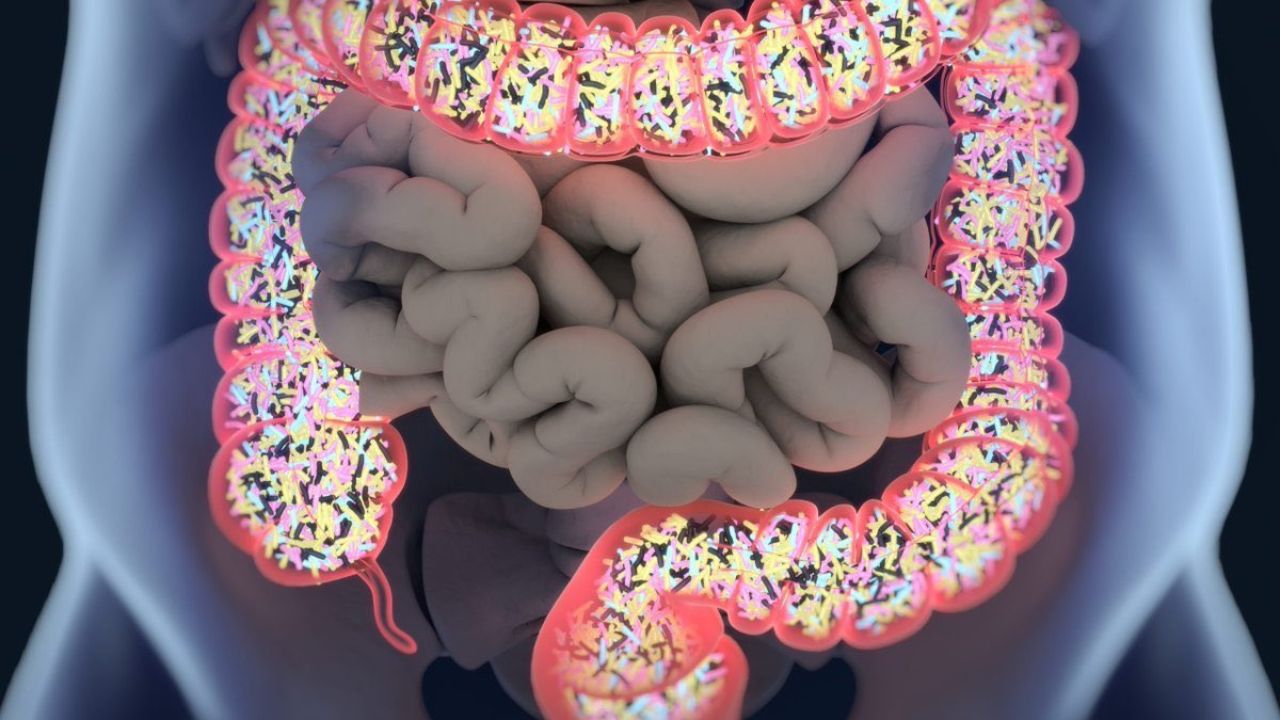 You are currently viewing 22 Proven Tips to Improve Your Gut Health