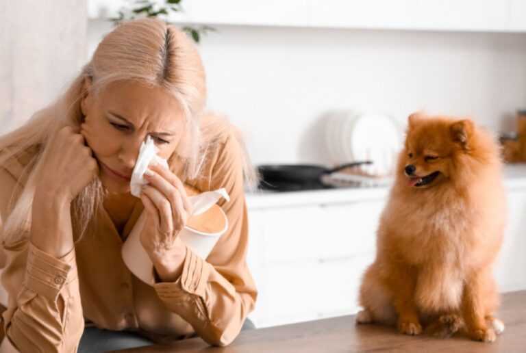 9 Subtle Traits of People Who Don’t Like Dogs, According to Psychology