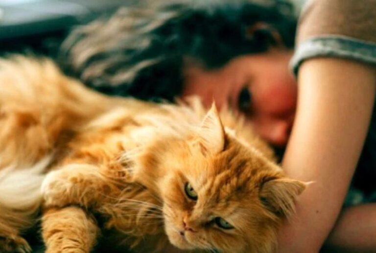 If You Relate to These 11 Signs, You’re Probably a True Loner