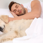 People Who Sleep in The Same Beds As Their Pets Usually Display These 7 Traits, Says Psychology