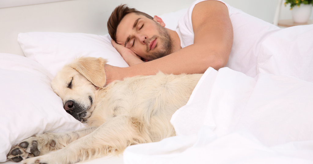 Read more about the article People Who Sleep in The Same Beds As Their Pets Usually Display These 7 Traits, Says Psychology