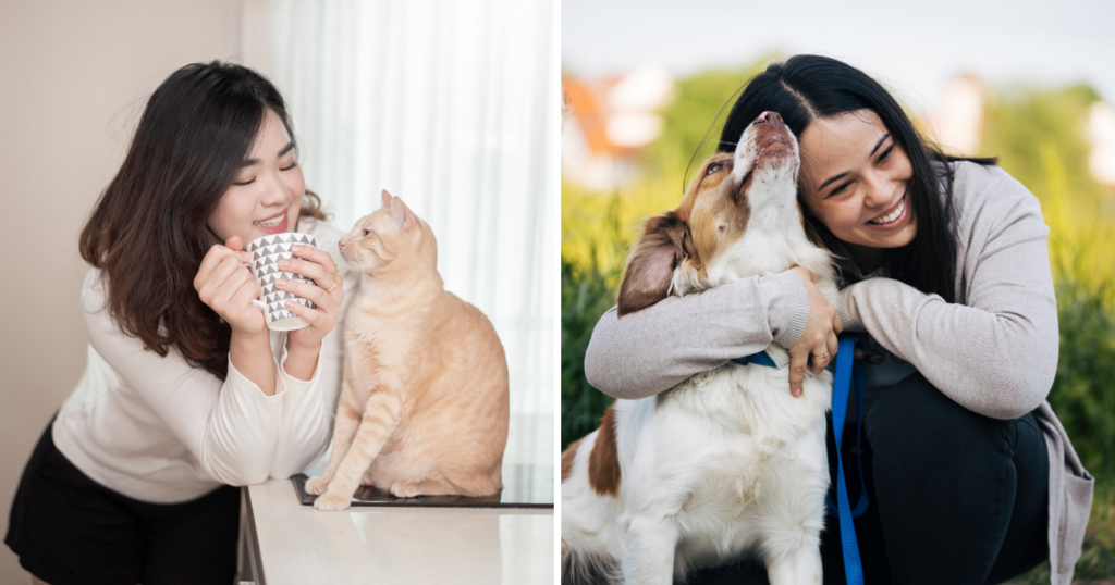 You are currently viewing Psychologists Say Cat People And Dog People Differ In These 7 Surprising Ways