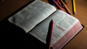 Read more about the article 5 Traits That Clearly Show Someone Is Wise