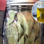 How to Make Bay Leaf Oil and Why It’s a Hidden Remedy for Pain & Inflammation