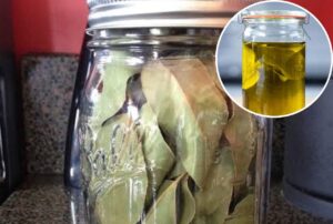 Read more about the article How to Make Bay Leaf Oil and Why It’s a Hidden Remedy for Pain & Inflammation