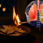 The Science of Burning Bay Leaves: What Really Happens in Your Home’s Air