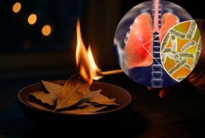 Read more about the article The Science of Burning Bay Leaves: What Really Happens in Your Home’s Air