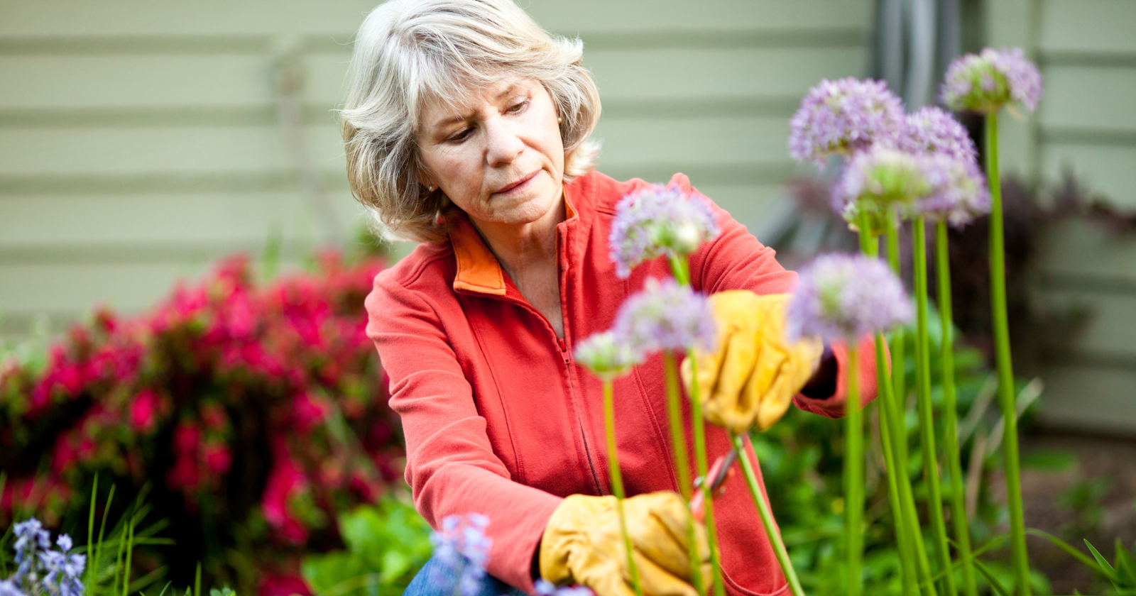You are currently viewing 9 Hobbies That Keep People Over 65 Mentally Engaged and Emotionally Grounded