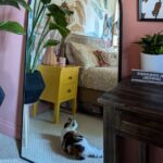 Budget-Friendly Furniture Finds to Give Your Dark Whimsical Bedroom That Magical Look