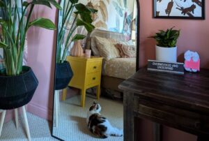 Read more about the article Budget-Friendly Furniture Finds to Give Your Dark Whimsical Bedroom That Magical Look