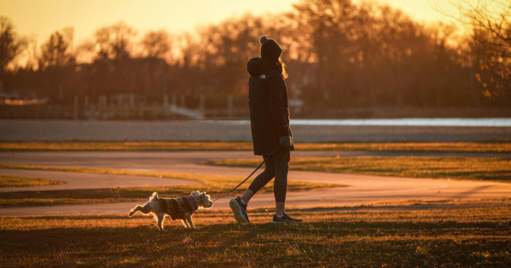 You are currently viewing Happiness Habits: 7 Daily Practices of Truly Joyful People