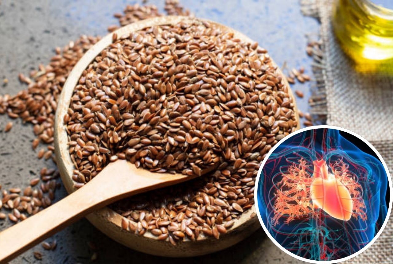 You are currently viewing Over Age 60? Doctors Say This Tiny Seed Can Improve Heart and Blood Vessel Health Naturally