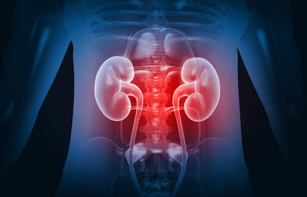You are currently viewing 9 Visible Signs of Kidney Disease You Should Never Ignore (Doctor Explains)