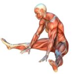 5 Simple Japanese Daily Movements That Help Double Leg Strength After 50