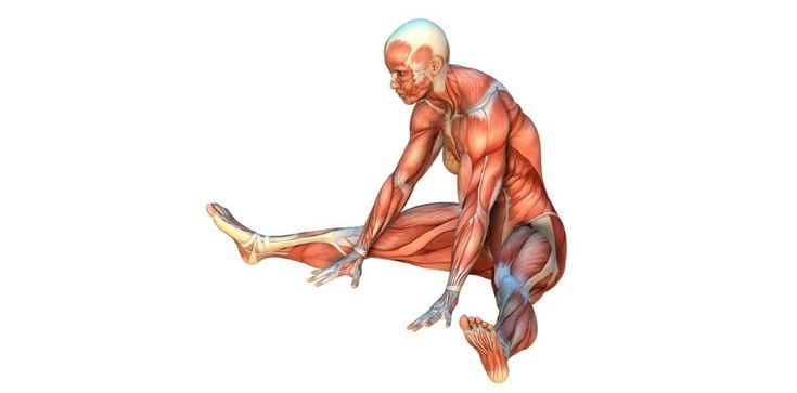 You are currently viewing 5 Simple Japanese Daily Movements That Help Double Leg Strength After 50