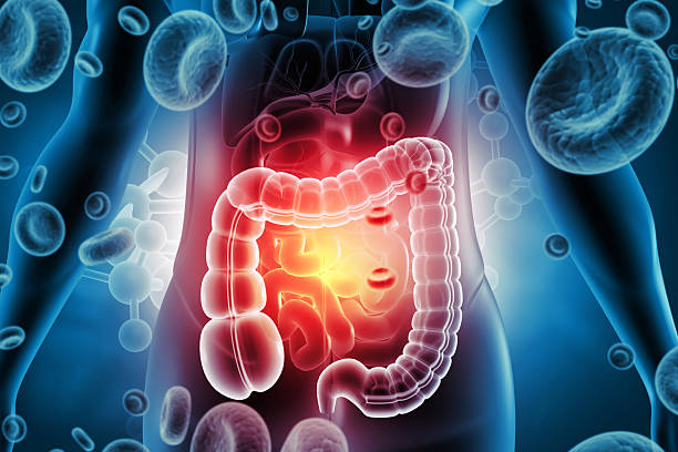 You are currently viewing The 21-Day Gut Reset: A Simple System to Build Gut-Healthy Habits That Actually Stick