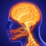 5 Signs Your Nervous System Is Healing (Even If It Feels Messy and Confusing)