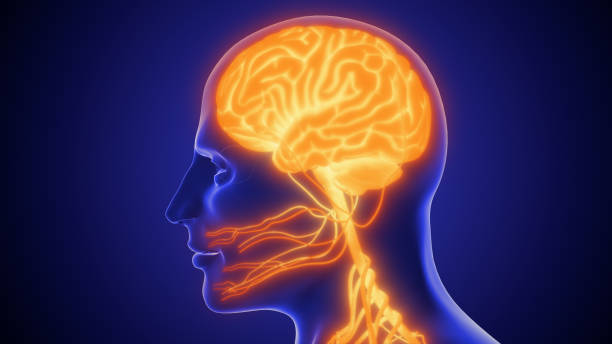 You are currently viewing 5 Signs Your Nervous System Is Healing (Even If It Feels Messy and Confusing)