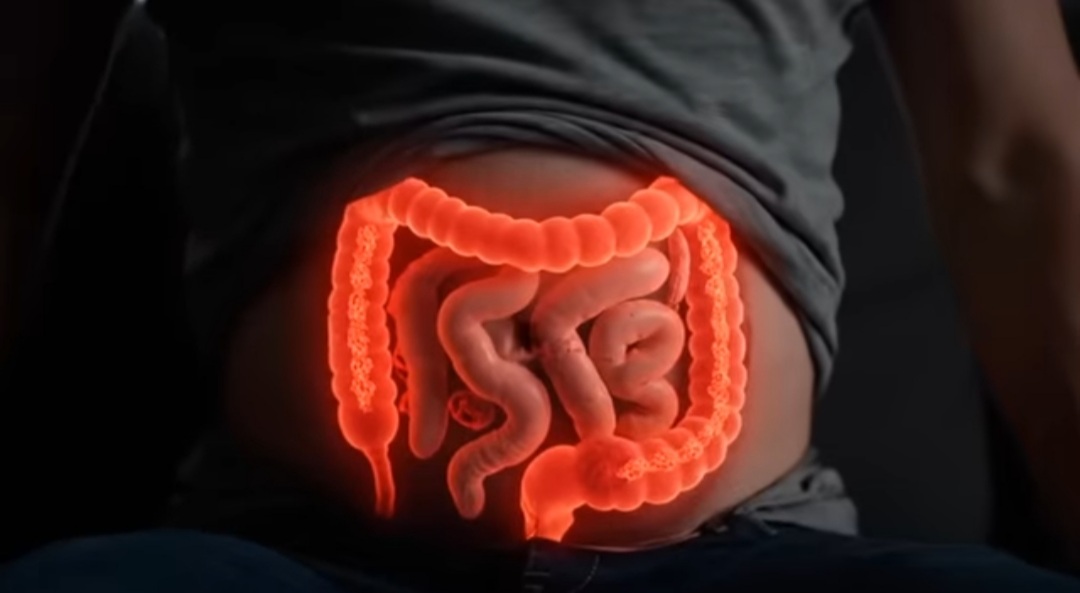 You are currently viewing 8 Common Gut Health Mistakes That Could Make Your Digestion Worse After 40
