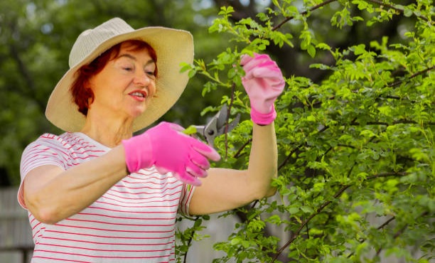 You are currently viewing 8 Habits People in Their 60s Adopted That Helped Them Find Real Happiness in Retirement